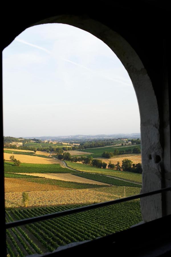 Chateau De Salettes Cahuzac-sur-Vere ภายนอก รูปภาพ
