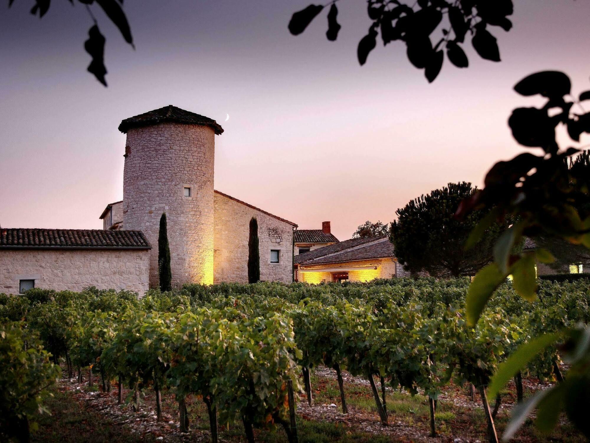 Chateau De Salettes Cahuzac-sur-Vere ภายนอก รูปภาพ